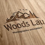 Woods Lau, Identité visuelle