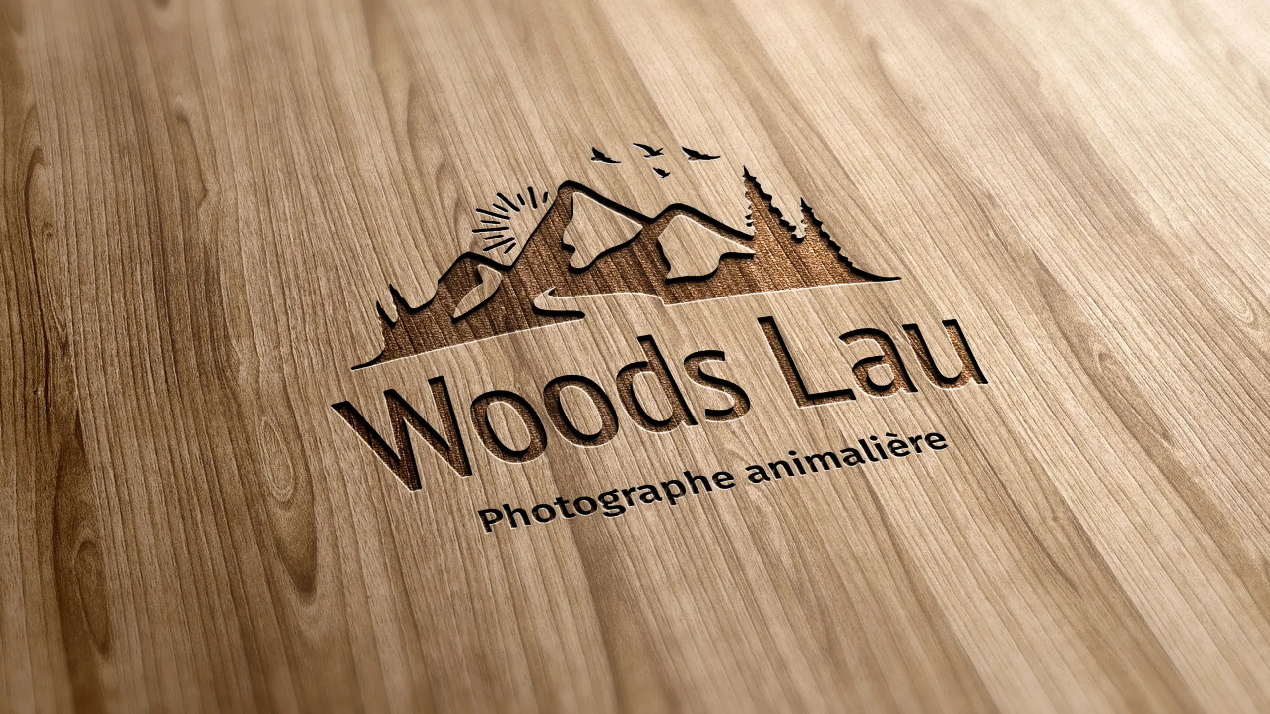 Identité Visuelle Logo Woods Lau Bois 2